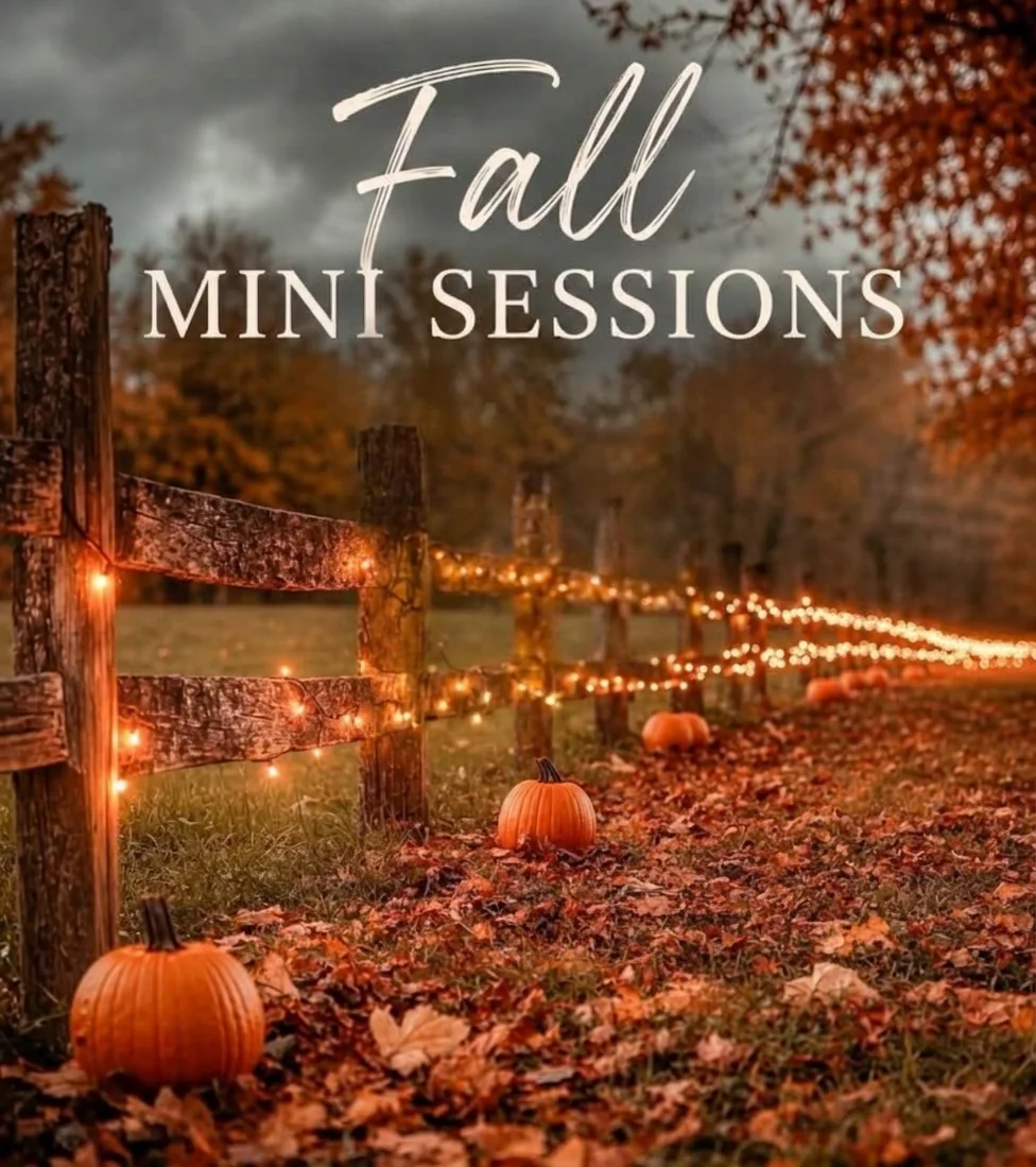 Fall Mini Sessions backdrop with pumpkins and string lights
